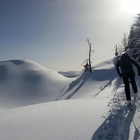 Apartahotel Almroesl Im Grossarltal