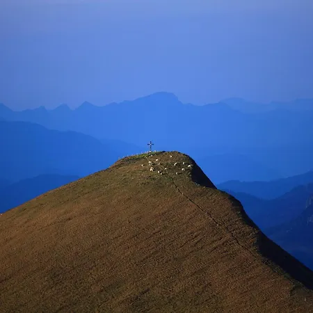 Almroesl Im Grossarltal Hüttschlag
