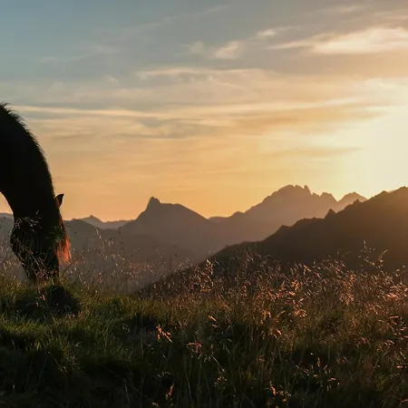 Apartahotel Almroesl Im Grossarltal Hüttschlag