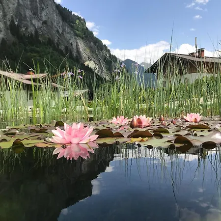 Almroesl Im Grossarltal * Hüttschlag