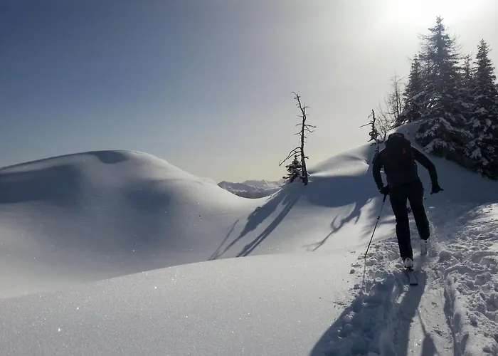 Apartmanhotel Almroesl Im Grossarltal