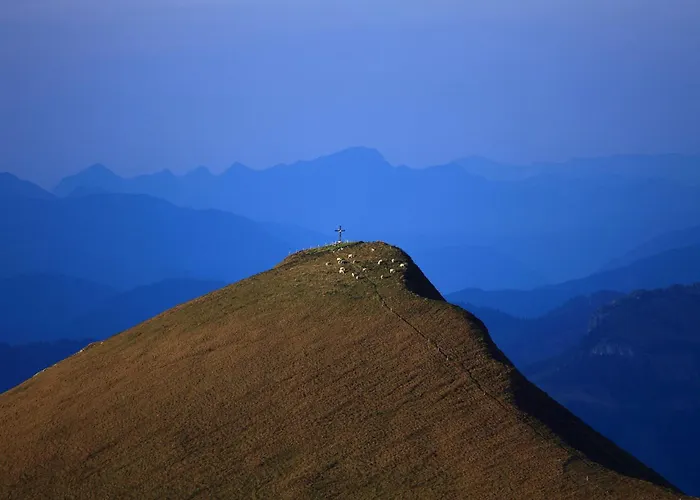 Almroesl Im Grossarltal Hüttschlag