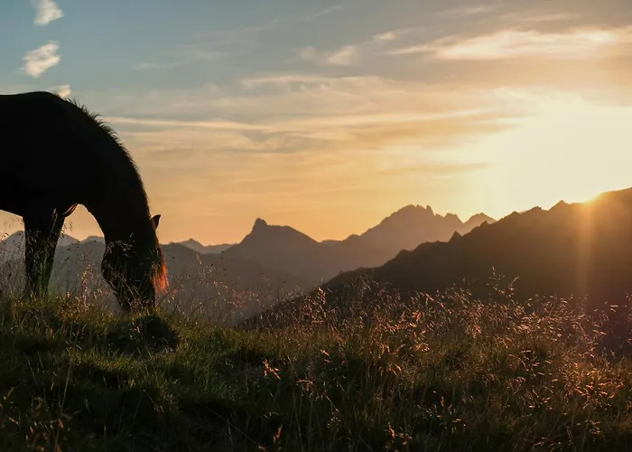 Apartmanhotel Almroesl Im Grossarltal Hüttschlag