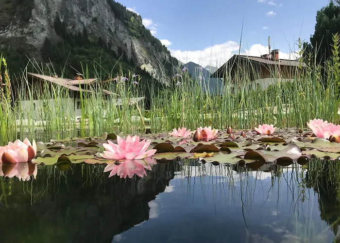 Almroesl Im Grossarltal 4* Hüttschlag